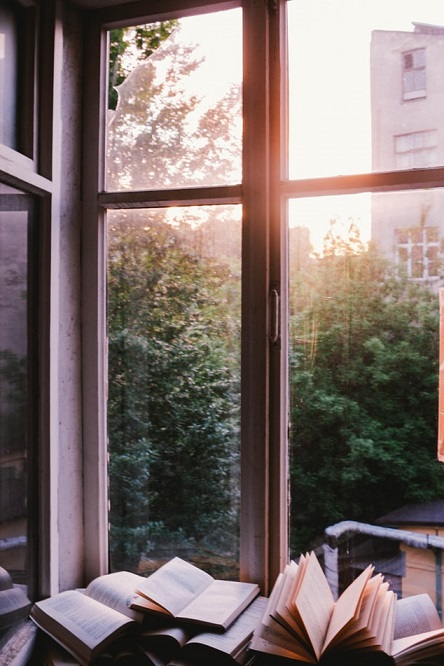 unsplash_Fenster.jpg